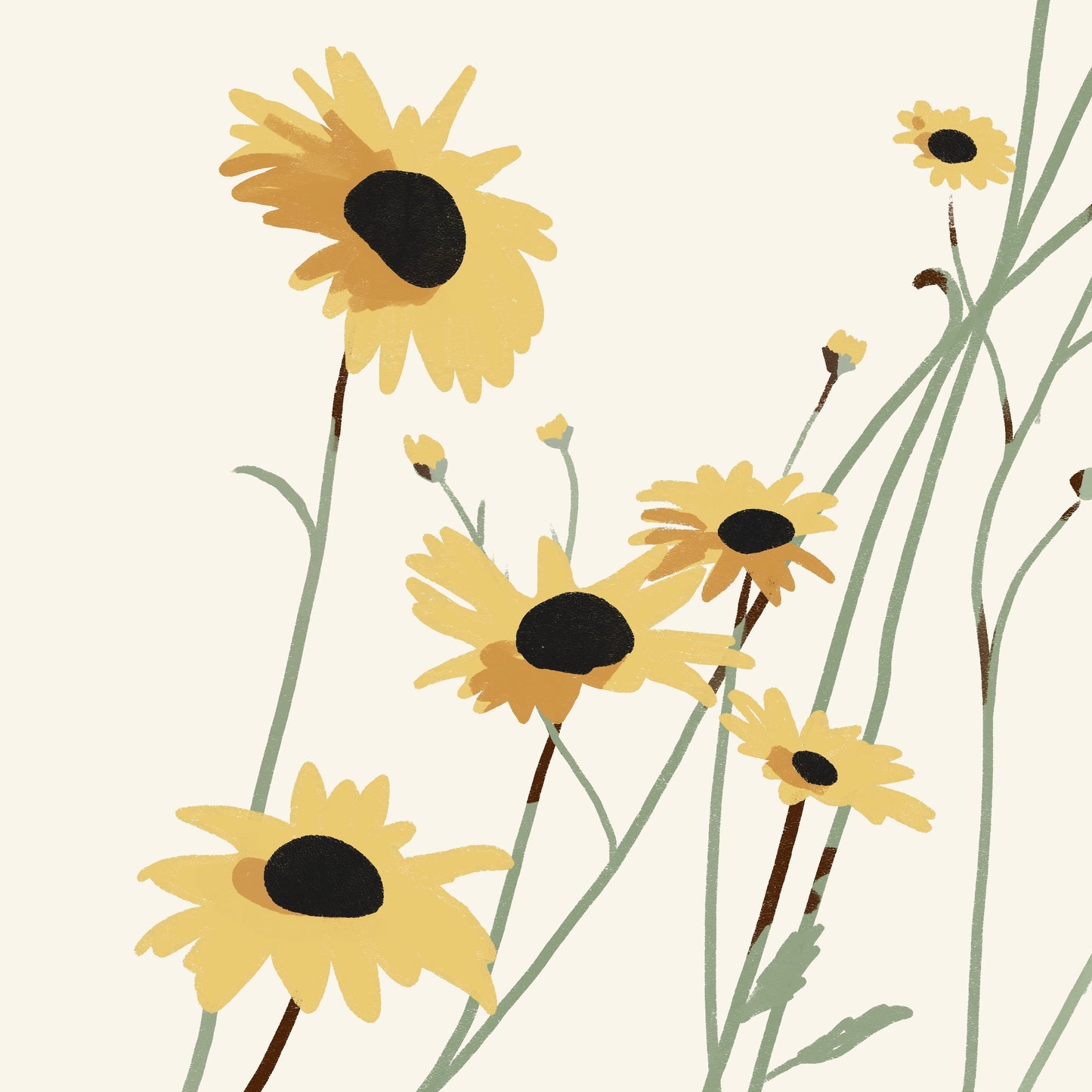 Yellow Wildflowers
