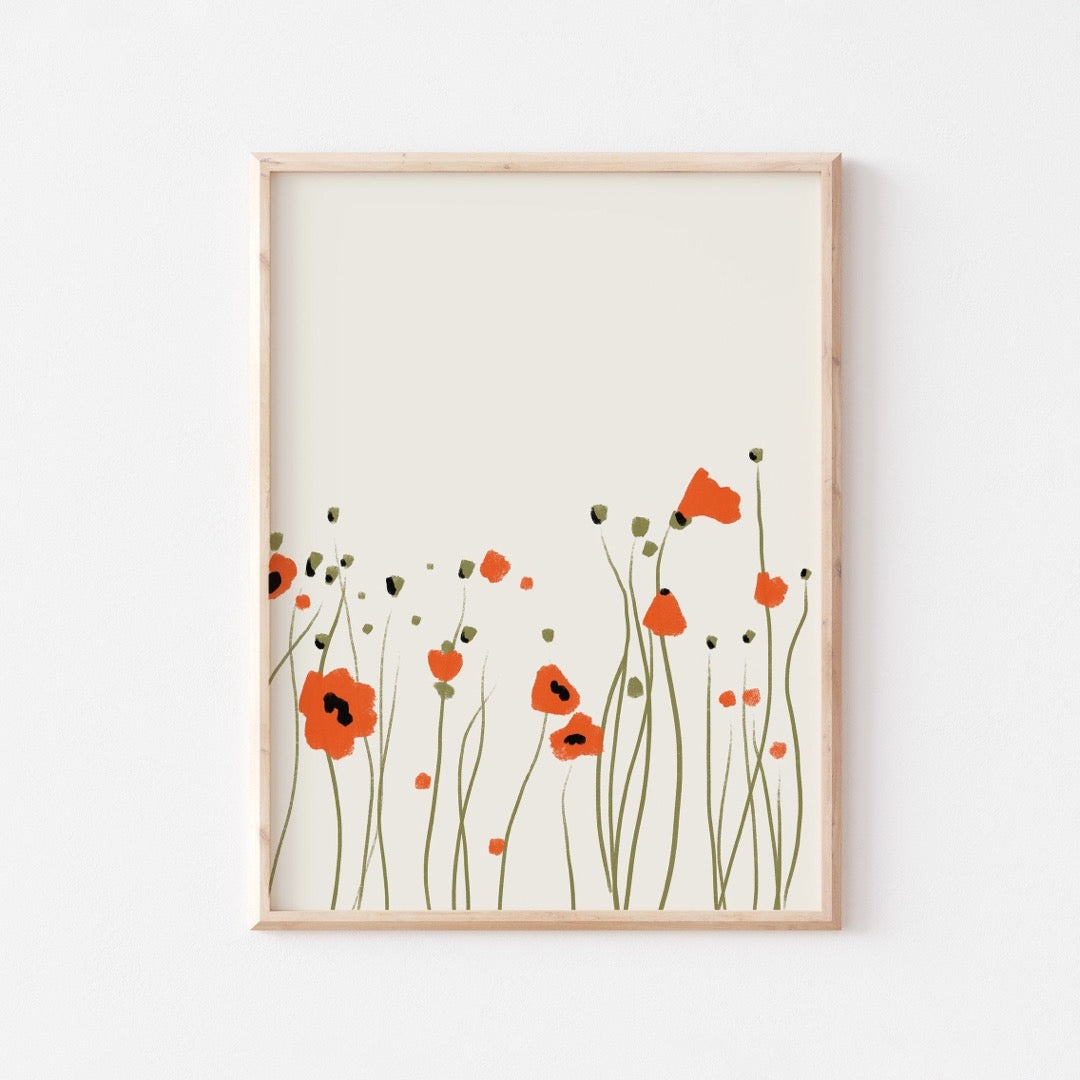 Poppies i